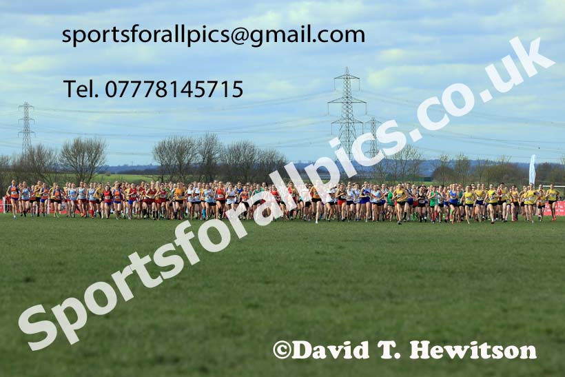 Intermediate Girls 2024 English Schools Cross Country Champs., Pontefract, March 16th.  Photo: David T. Hewitson/Sports for All Pics